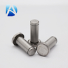 定制的不锈钢铆钉螺母销